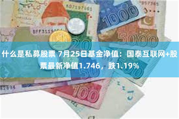 什么是私募股票 7月25日基金净值：国泰互联网+股票最新净值1.746，跌1.19%