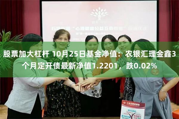 股票加大杠杆 10月25日基金净值：农银汇理金鑫3个月定开债最新净值1.2201，跌0.02%