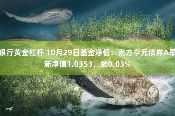 银行黄金杠杆 10月29日基金净值：南方亨元债券A最新净值1.0353，涨0.03%