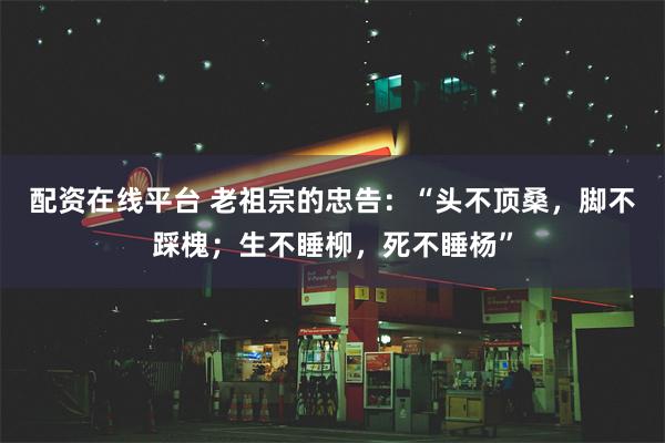 配资在线平台 老祖宗的忠告：“头不顶桑，脚不踩槐；生不睡柳，死不睡杨”