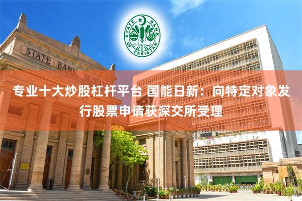 专业十大炒股杠杆平台 国能日新：向特定对象发行股票申请获深交所受理