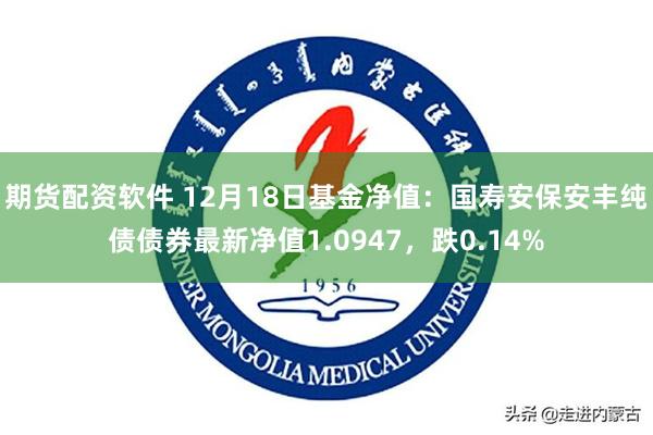 期货配资软件 12月18日基金净值：国寿安保安丰纯债债券最新净值1.0947，跌0.14%