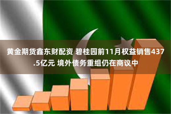 黄金期货鑫东财配资 碧桂园前11月权益销售437.5亿元 境外债务重组仍在商议中