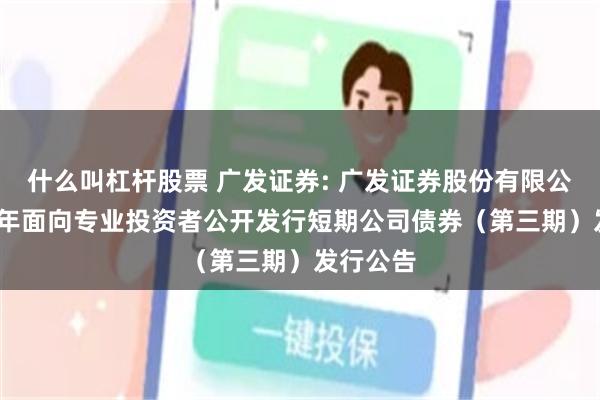 什么叫杠杆股票 广发证券: 广发证券股份有限公司2025年面向专业投资者公开发行短期公司债券（第三期）发行公告